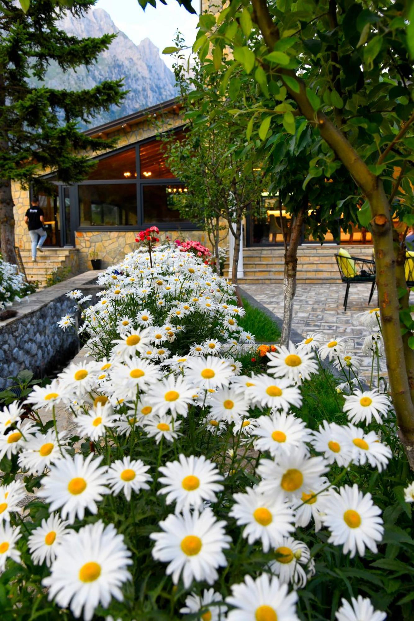 Breezy Hotel Valbonne Exterior foto